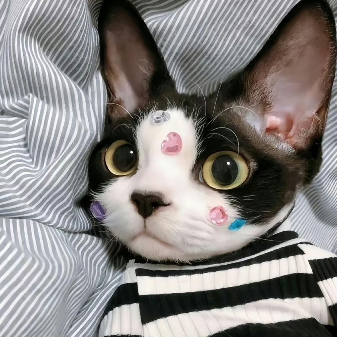 超能粒