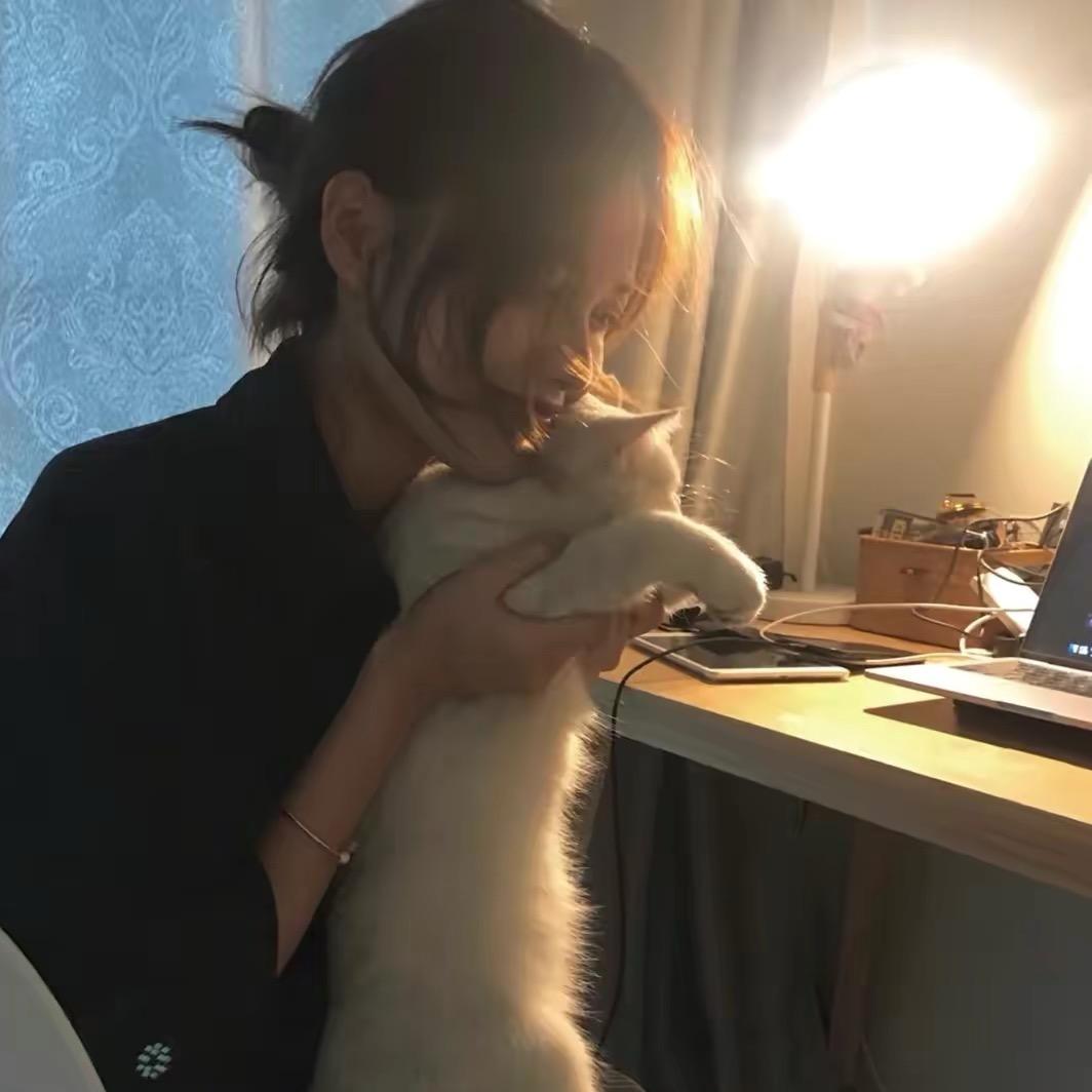 六六