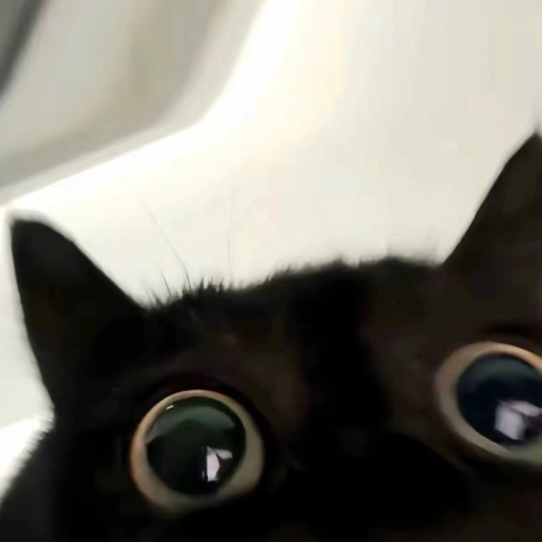 宝盖yu