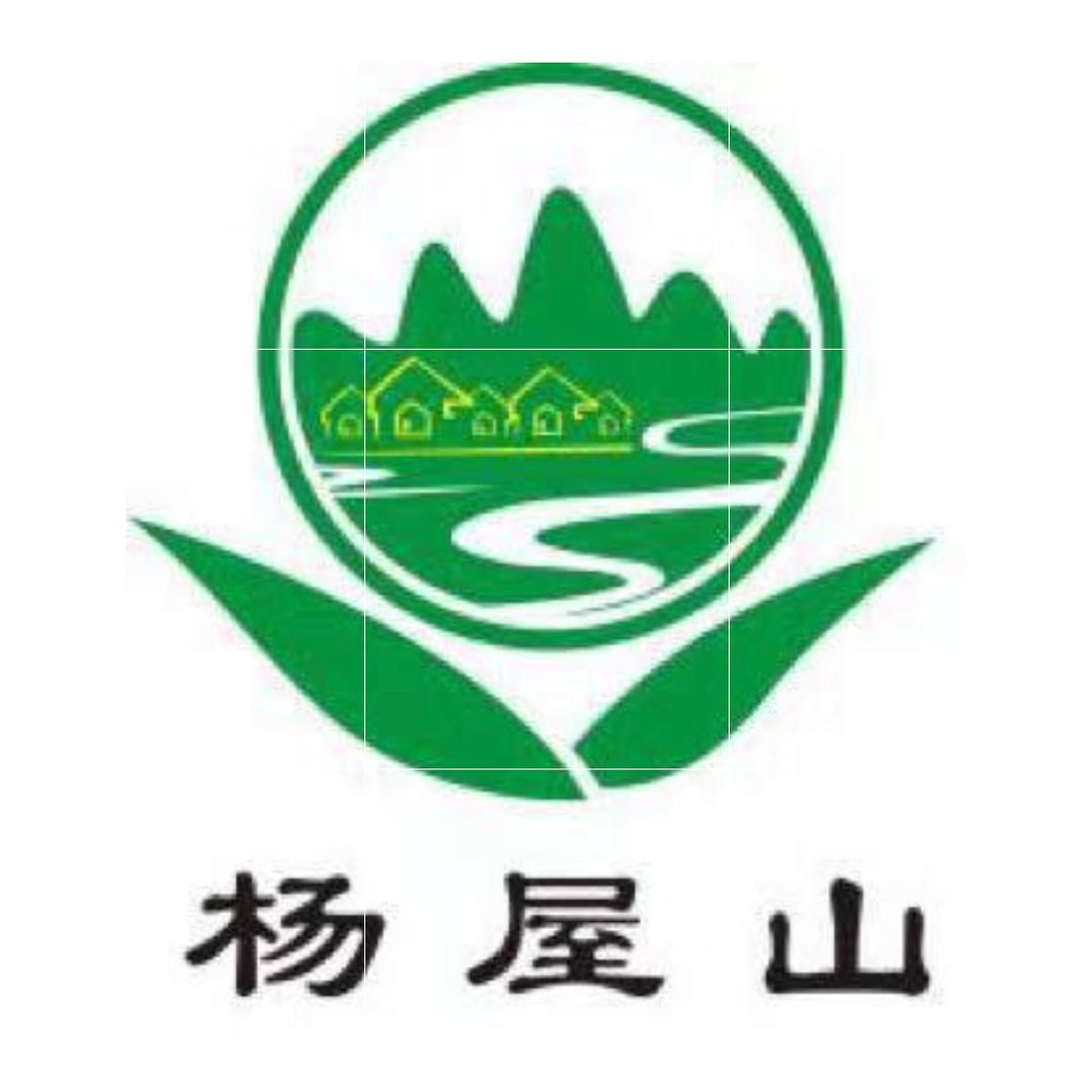 西坑杨屋山茶园