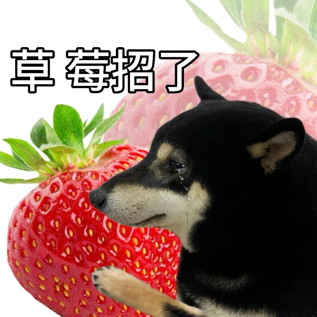 草莓Sup