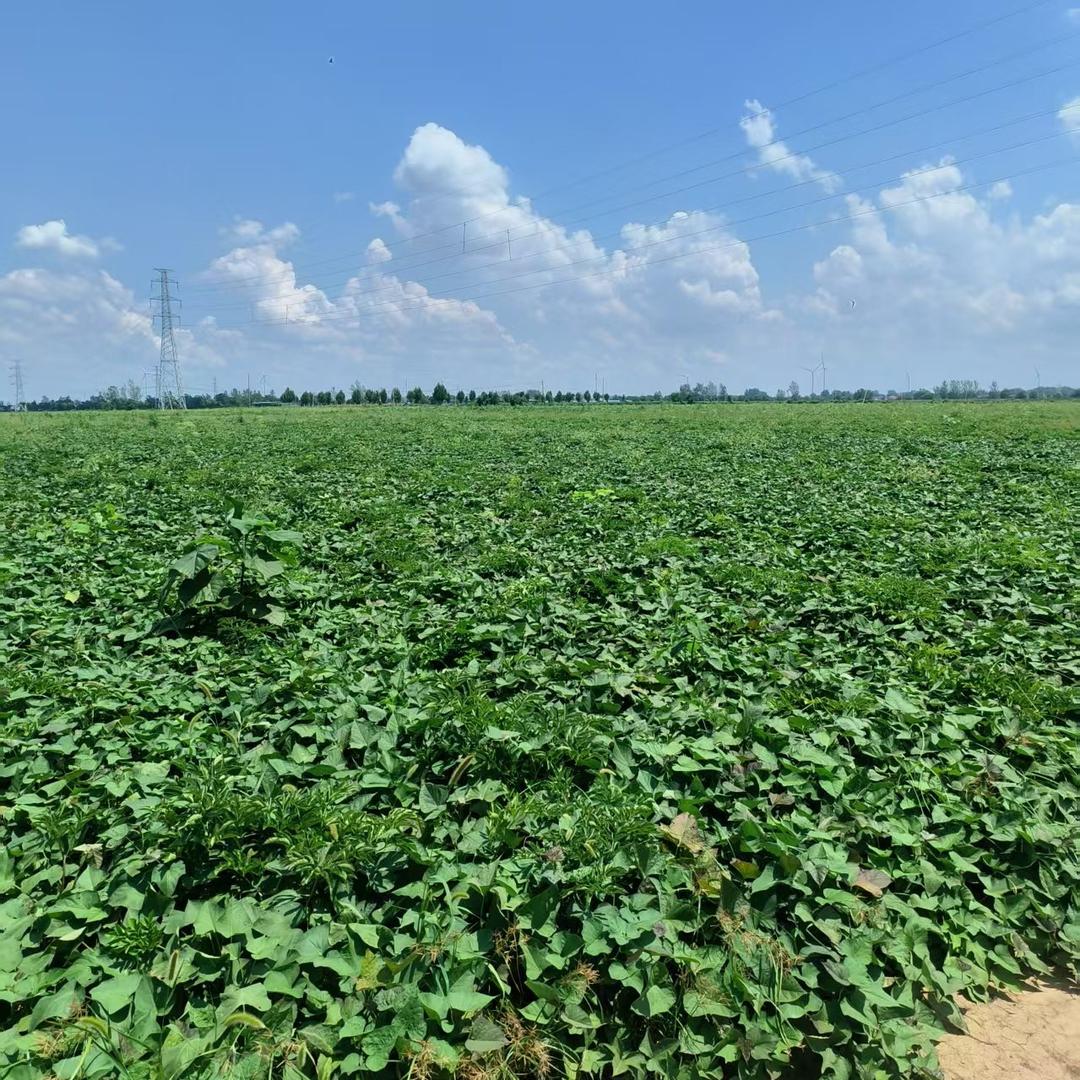 信合众食品优选