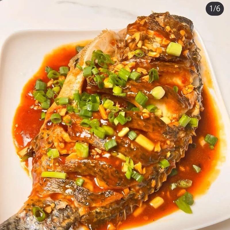 黄河大鲤鱼（主理人）