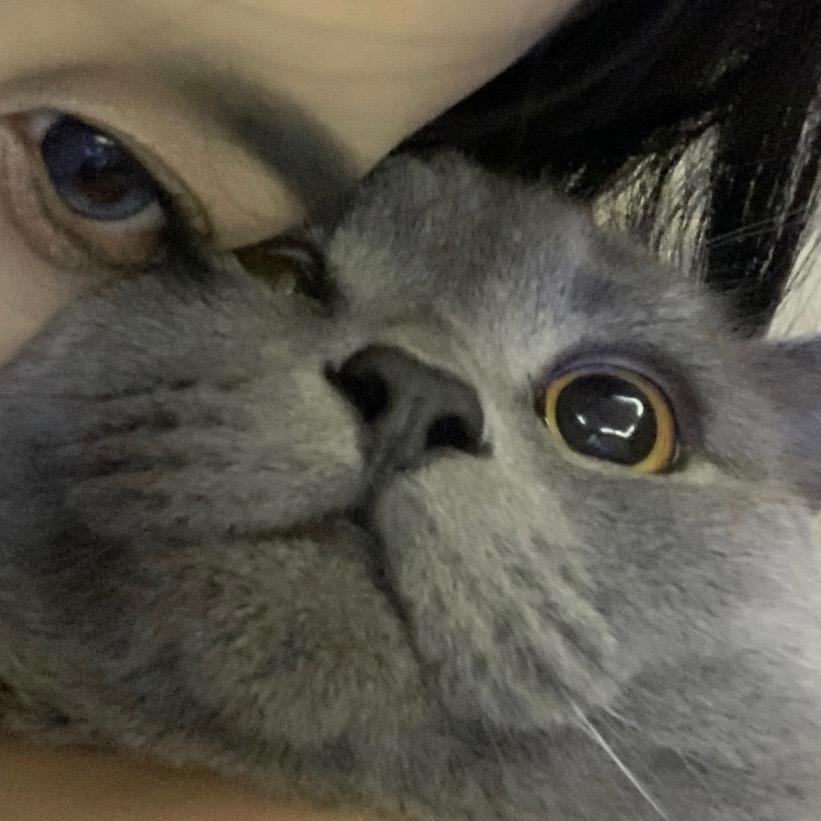 王思懿.