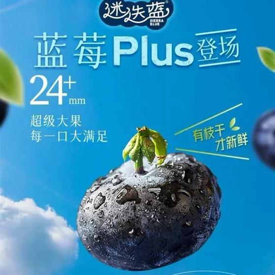 赢天优选新发地生鲜水果供应链