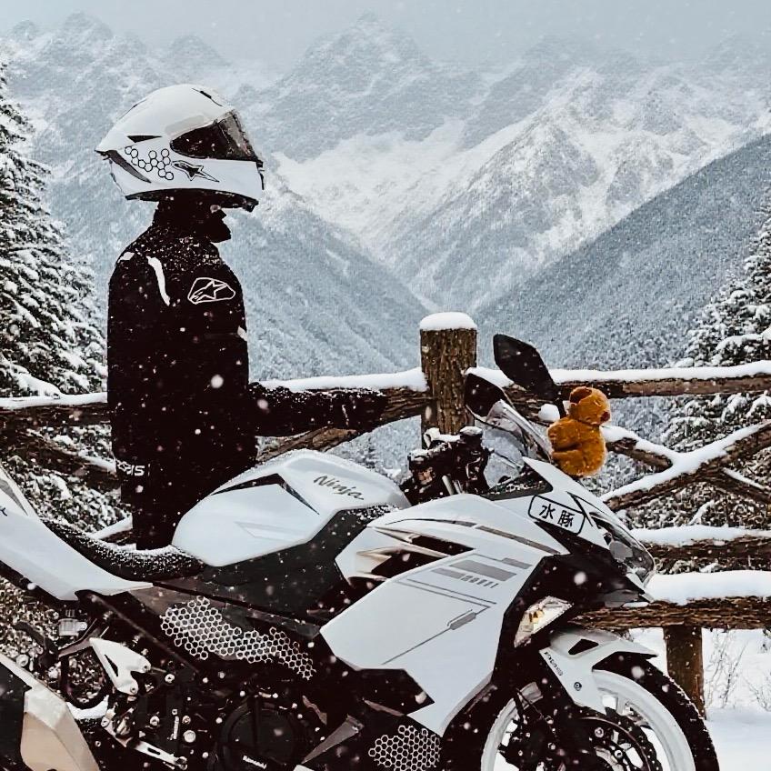 🏍️水豚🏍️