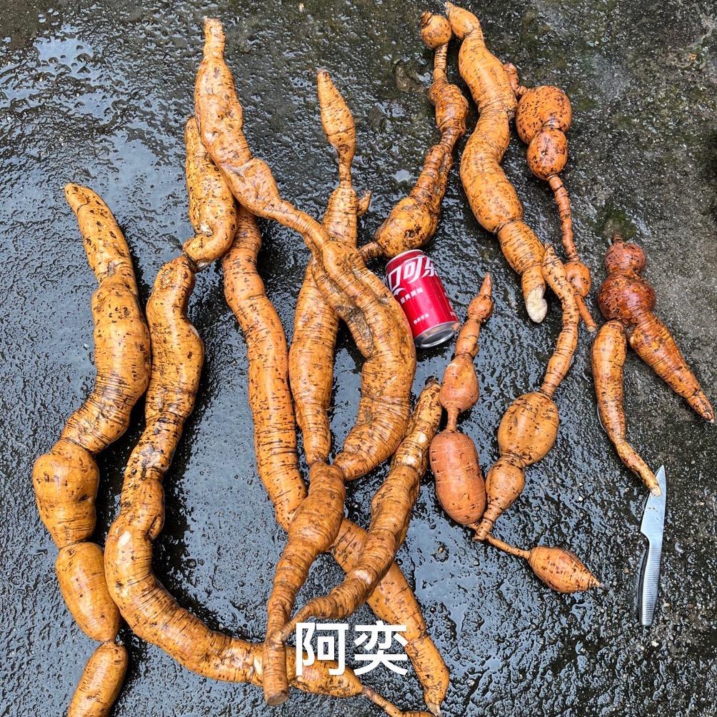 阿奕山货