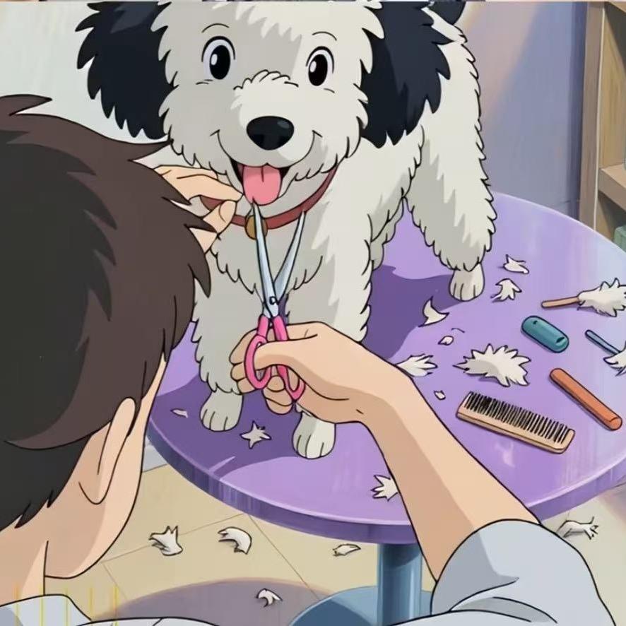 鹤岗萌宠要当家