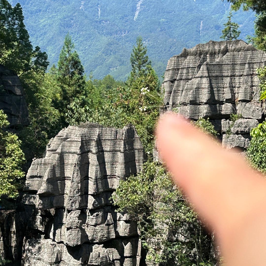 ☞小眼睛🕶️