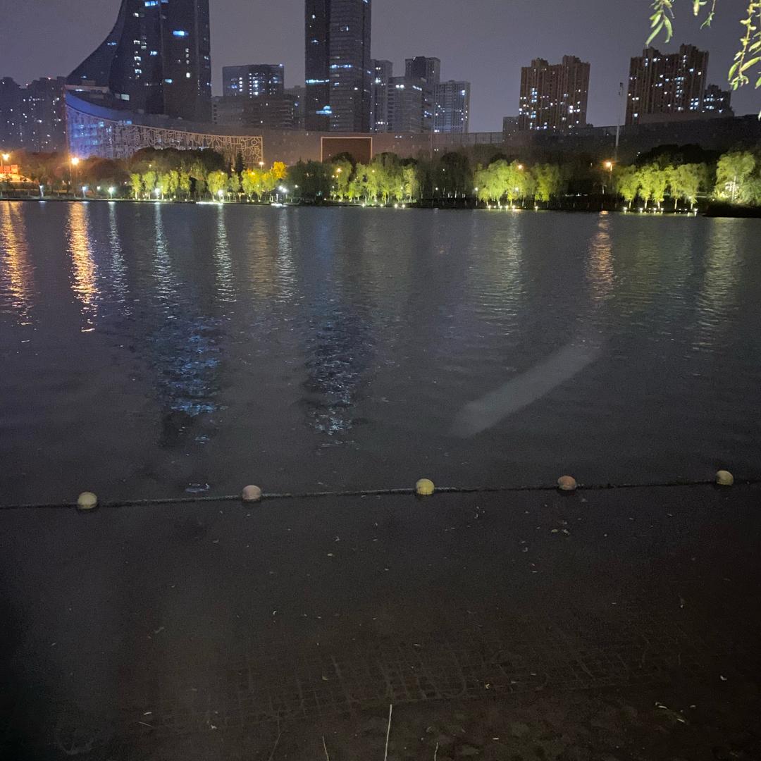 🐶碧海蓝天