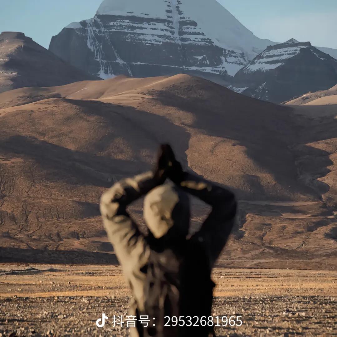 23176559162