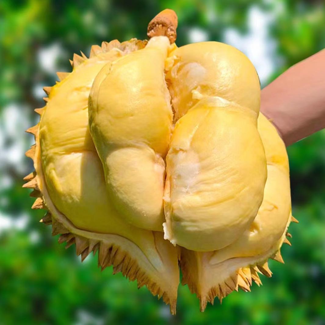 森农茂果蔬企业店