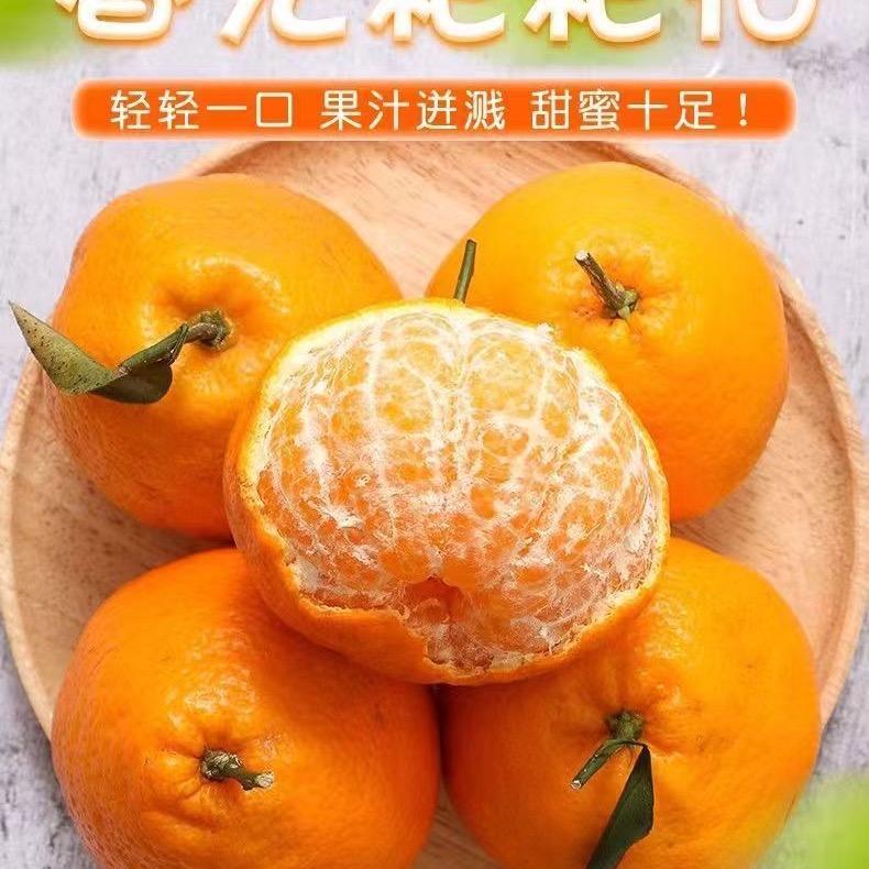 鲜多多果果蔬海安配送