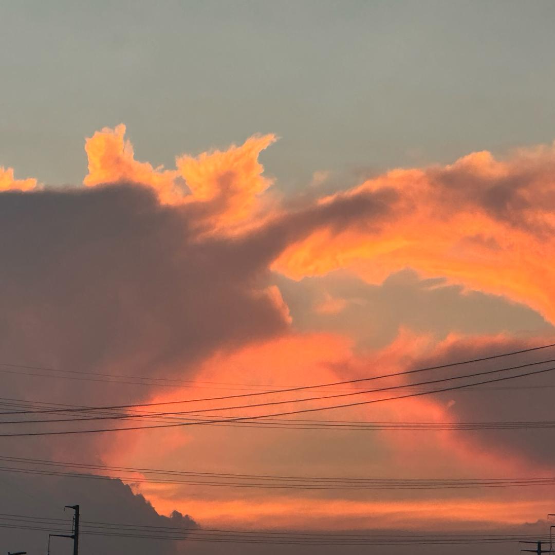 🐇兔🐇