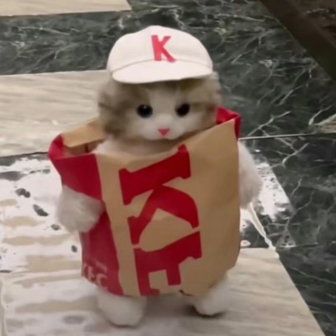 灿灿