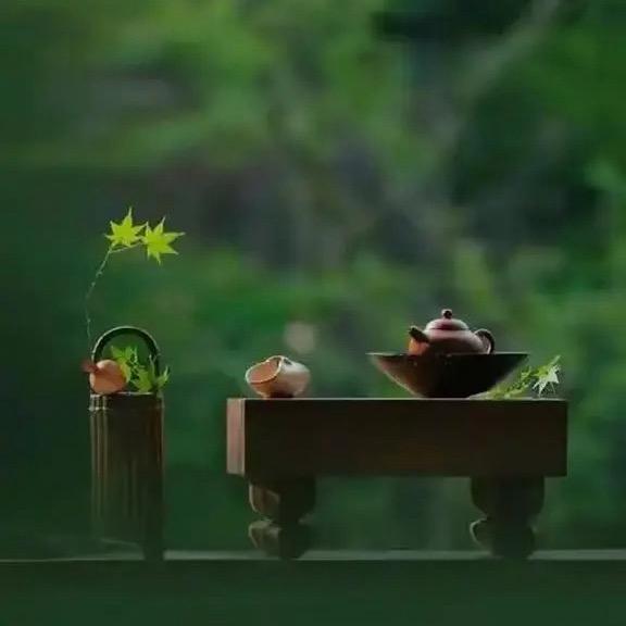 瑶星允🦋