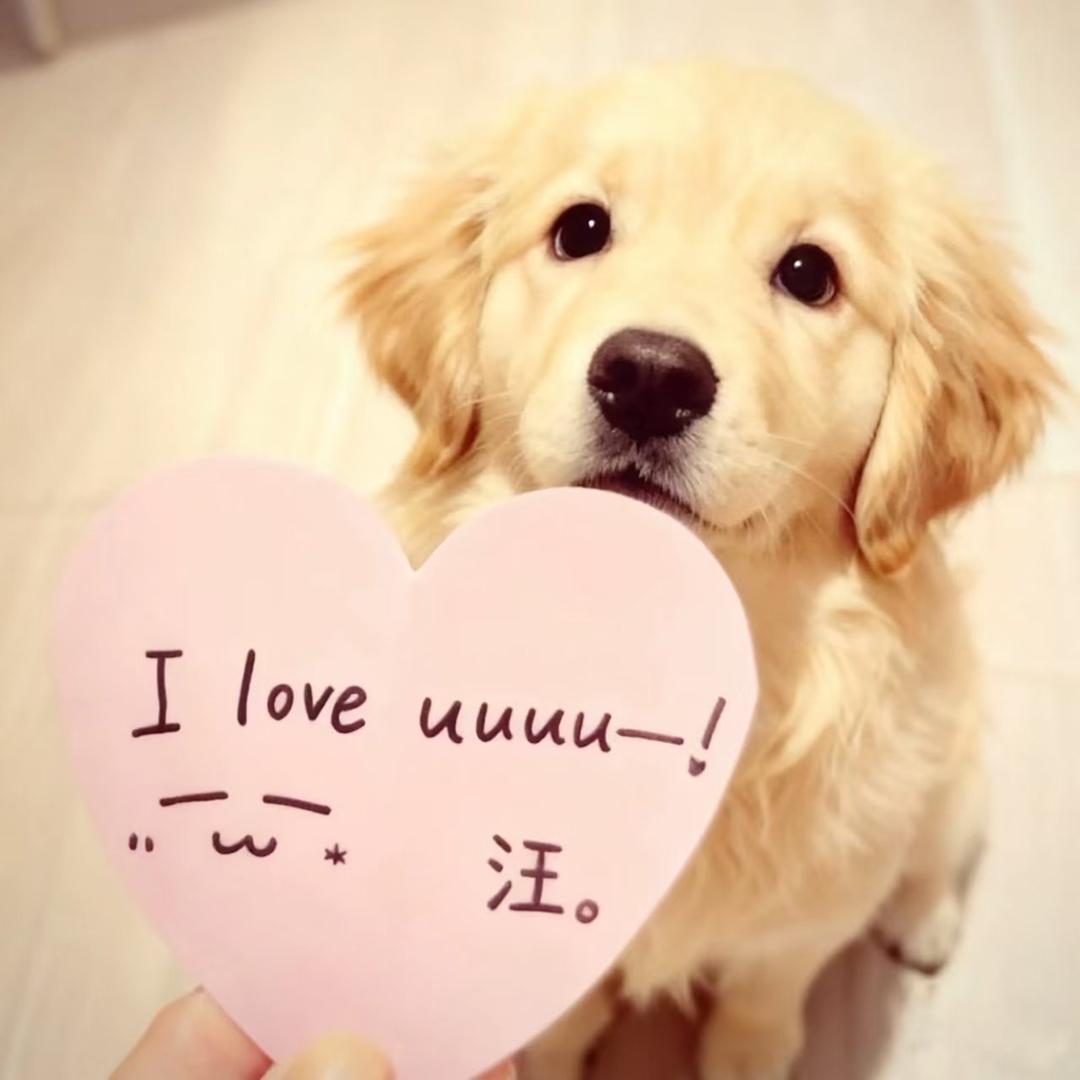 zy ￴ ￴ ￴￴￴￴