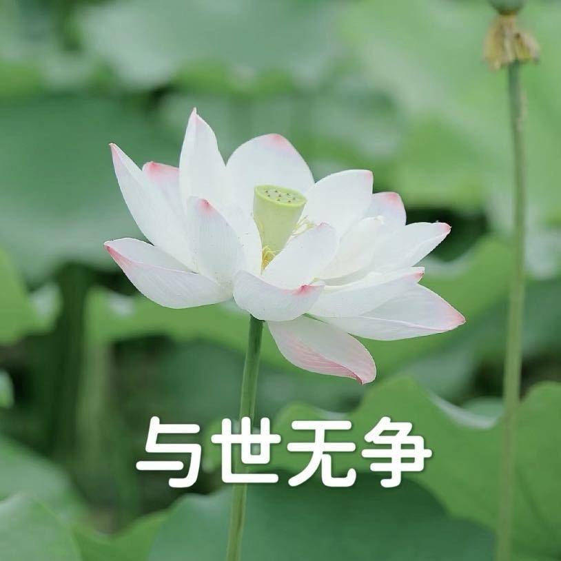 四大皆空。