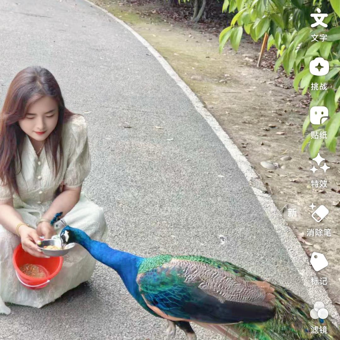 难再相拥