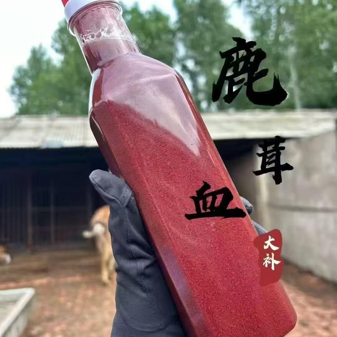 ꨄˎˊ˗鹿小姐Ⱄⱄᐝ