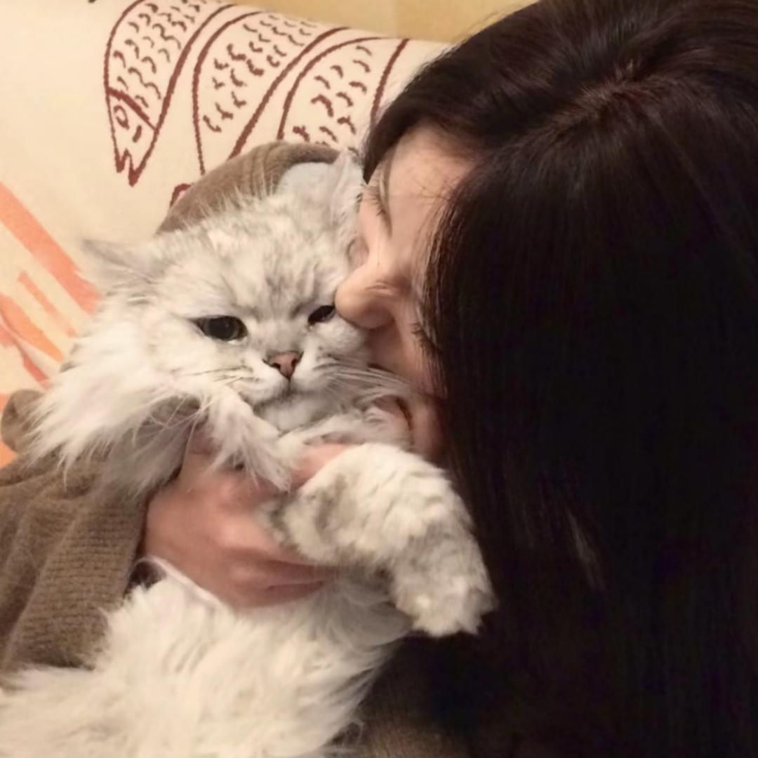 炒胖鱼.
