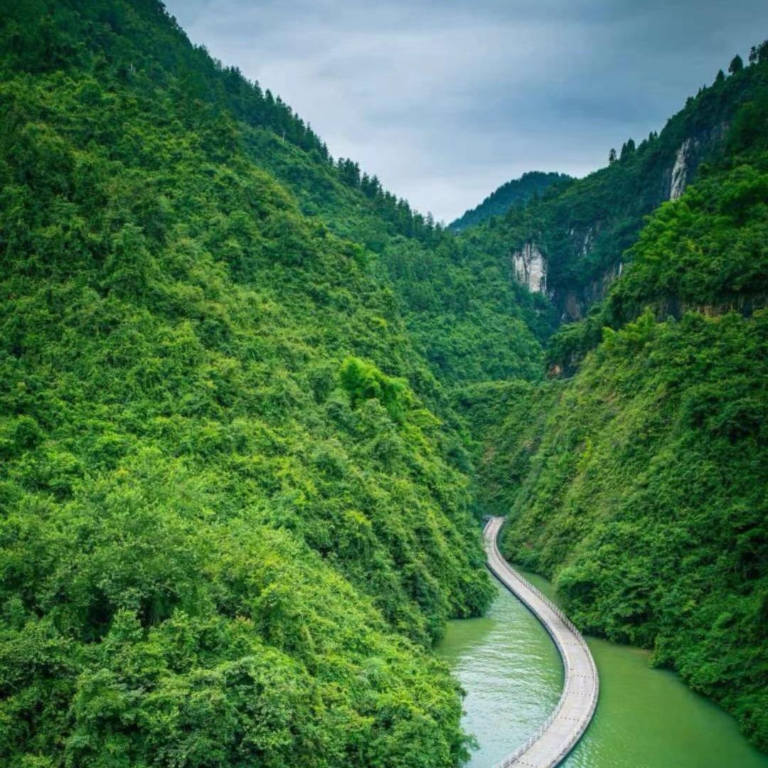 贏嬴蠃羸