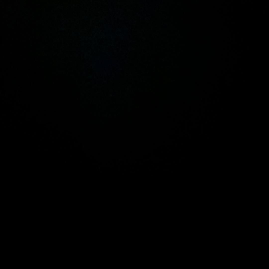 我爱吃👀香菜