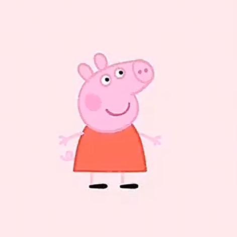 佩奇🌺