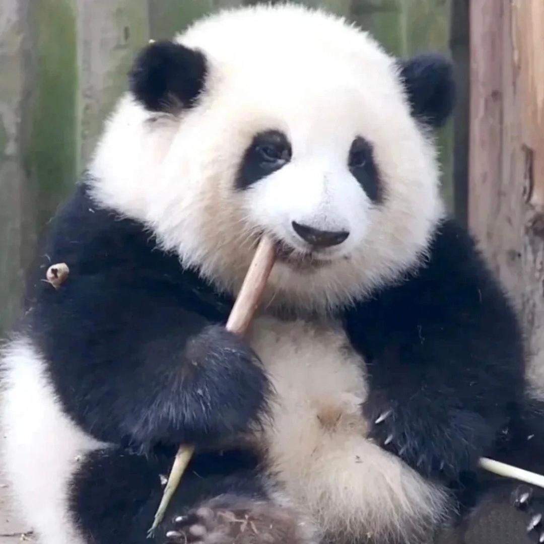 小白(听歌交友)