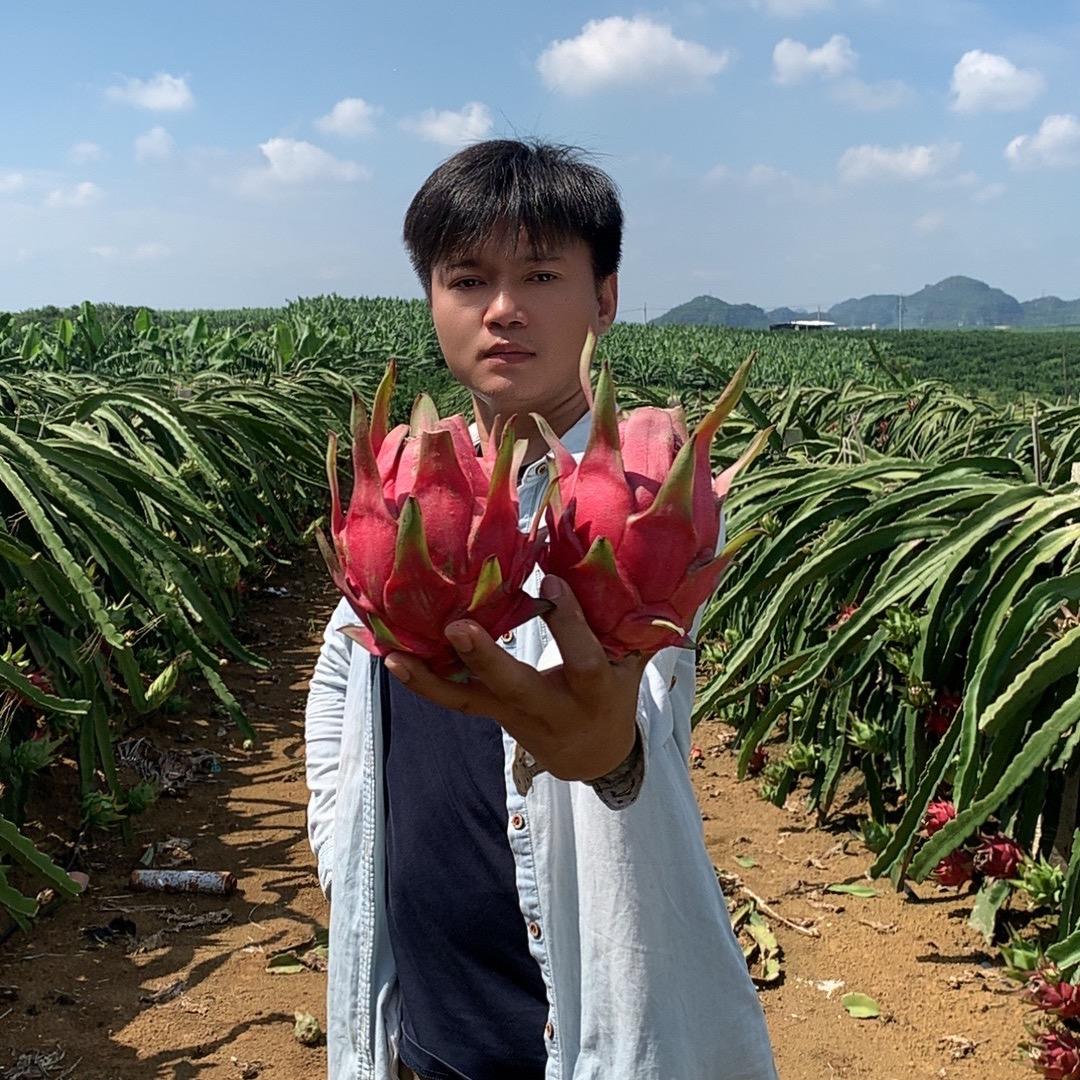 广西鲜果农产品