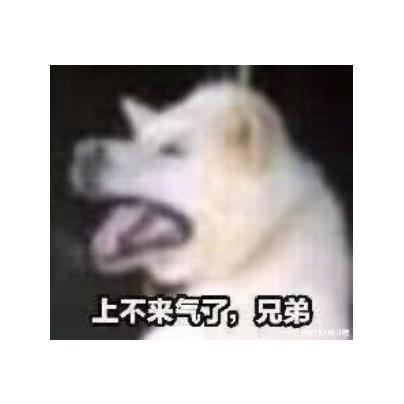 你是不是der