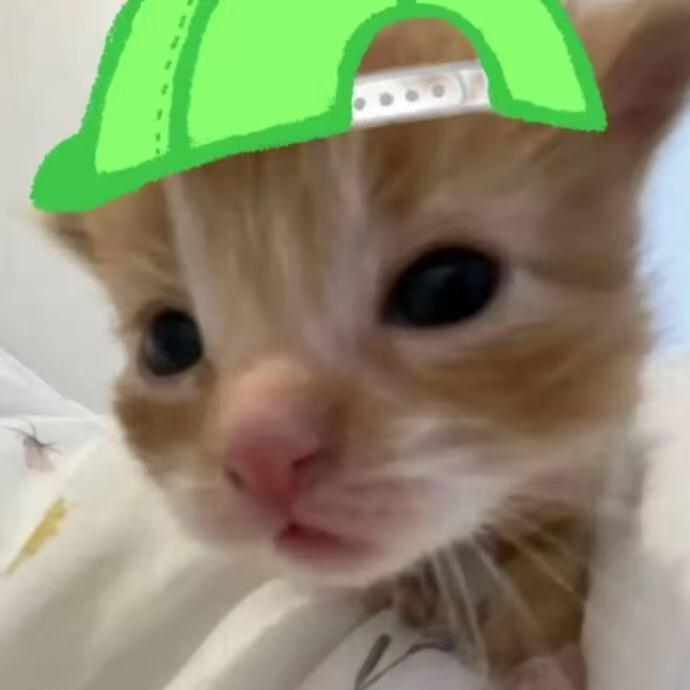 ￴￴ ￴￴￴ 7