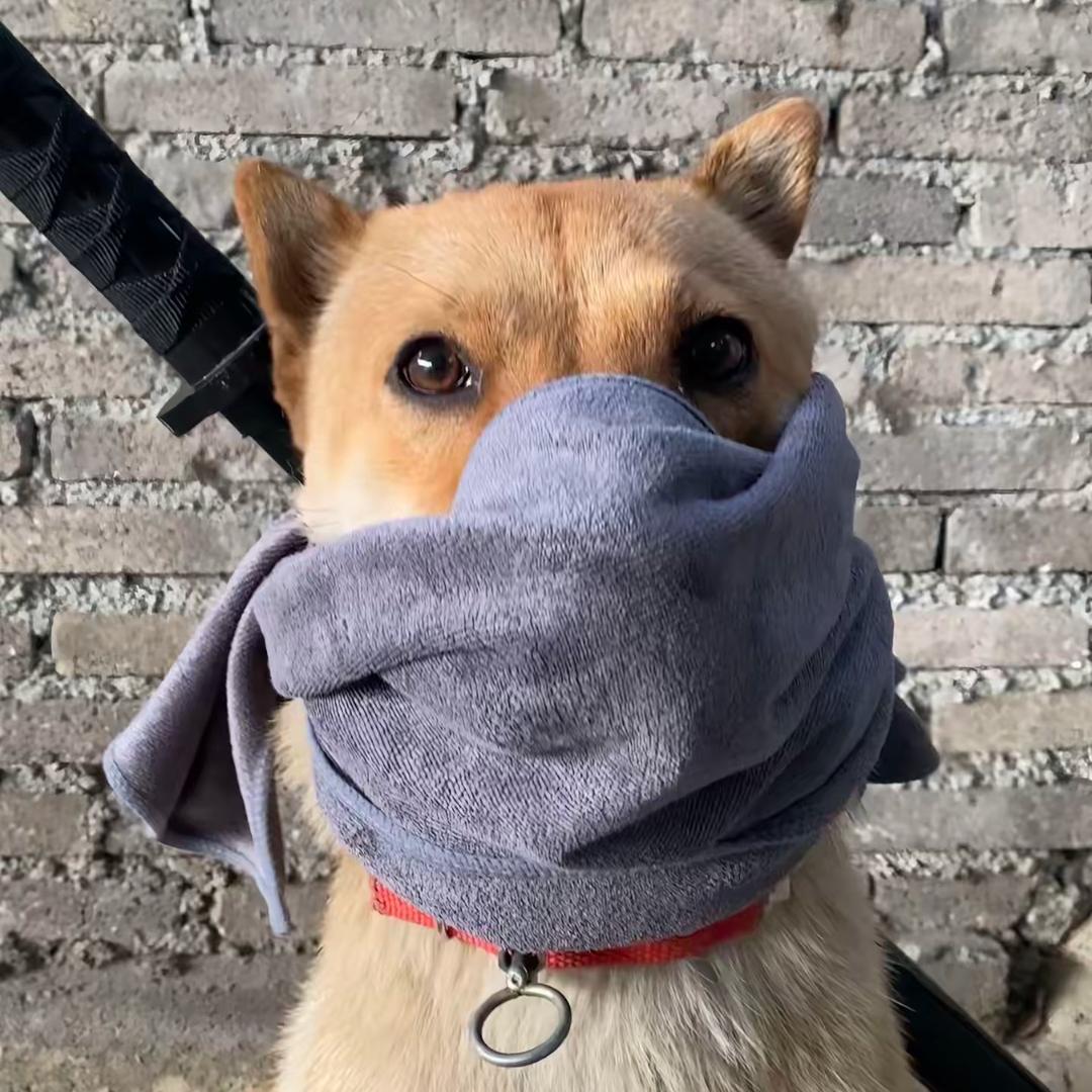 帅比