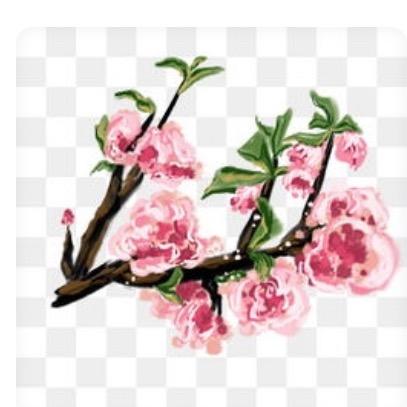 阳 阳
