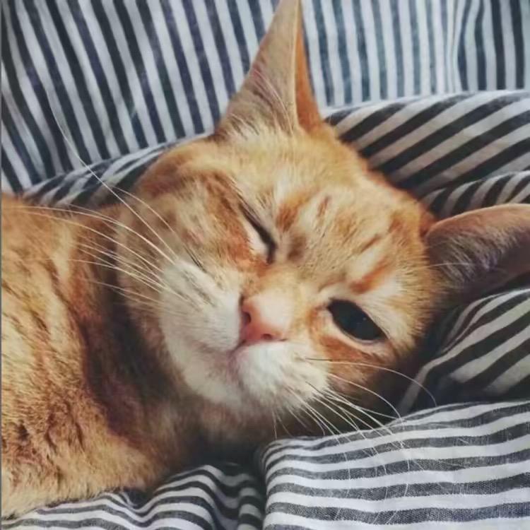 开心s☀️
