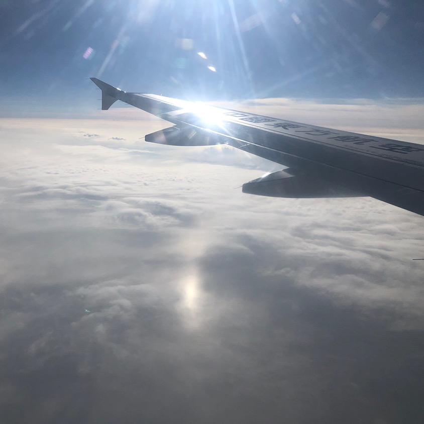 风驰（关比回）