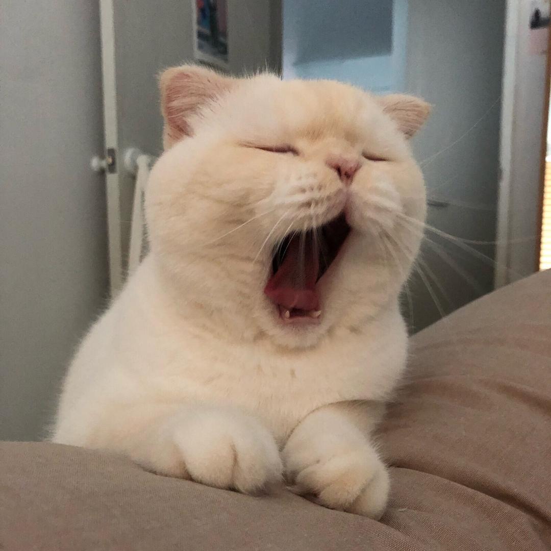 小柒家