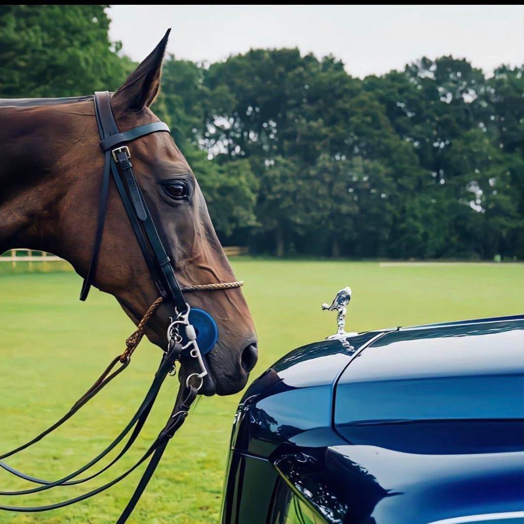 藏：ཚེ་རིང་།