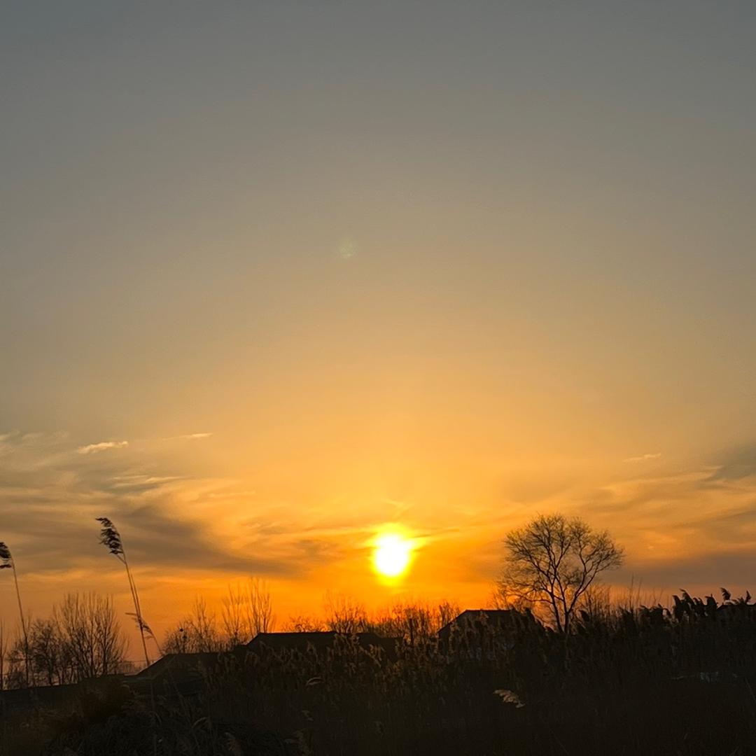 ㊎㊍㊌㊋㊏𓀙𓀎𓀌𓀋𓀫