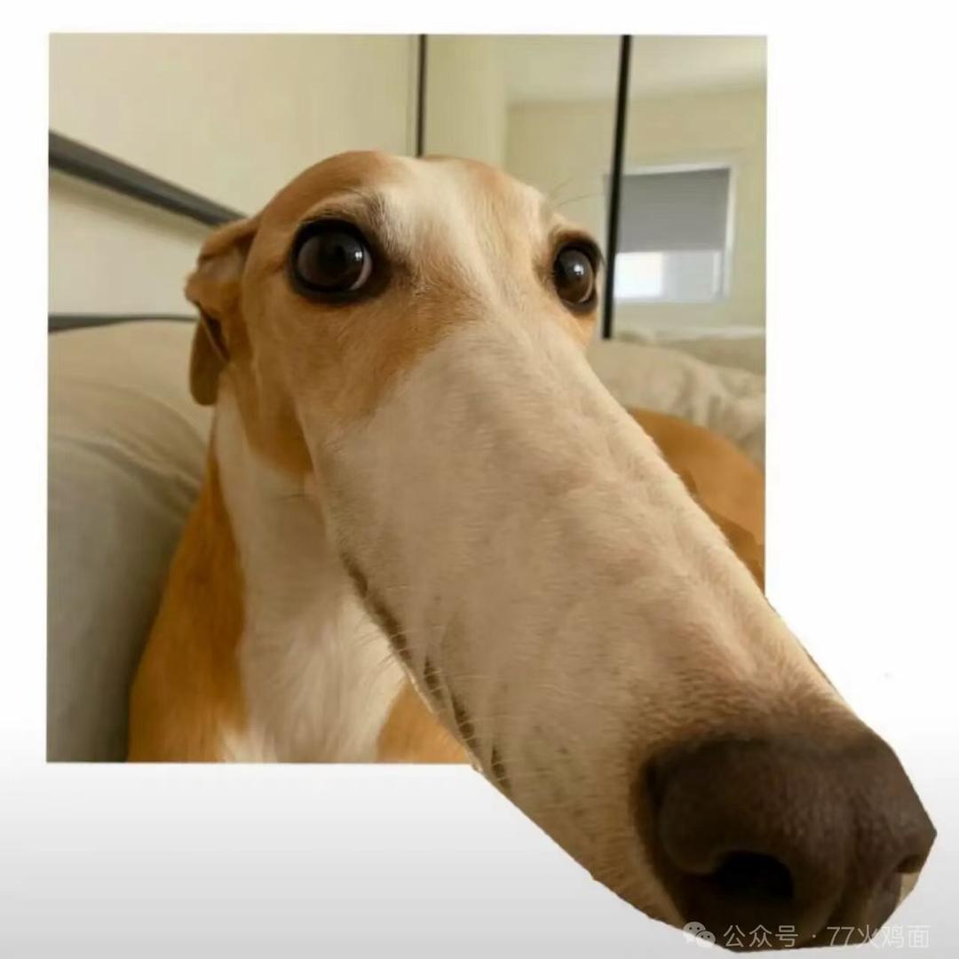 卷卷卷