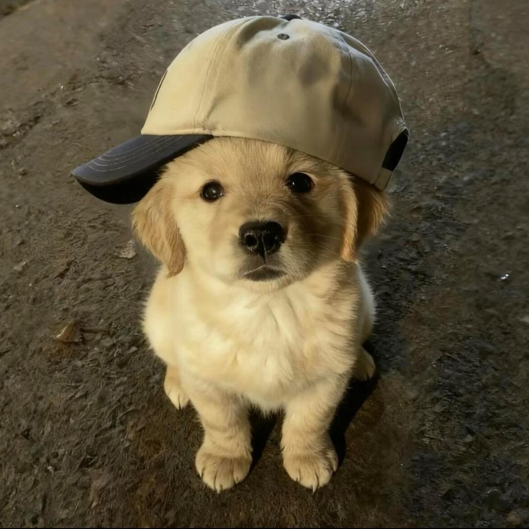 你怎么对谁都好