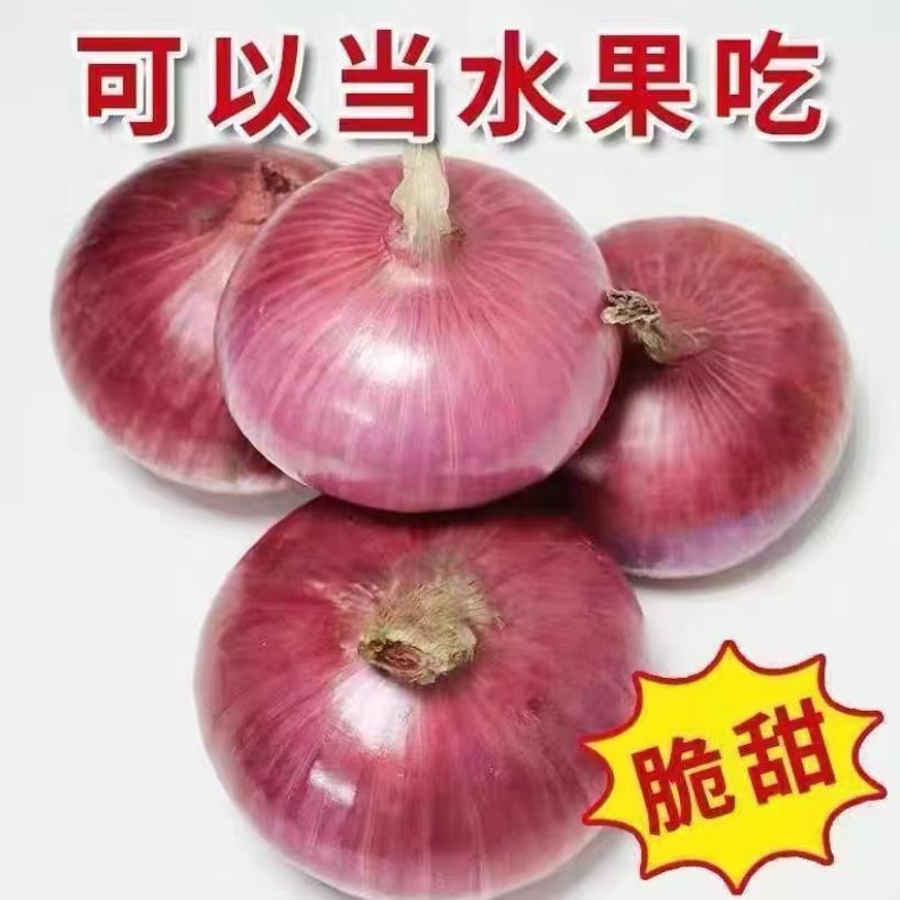红红美食