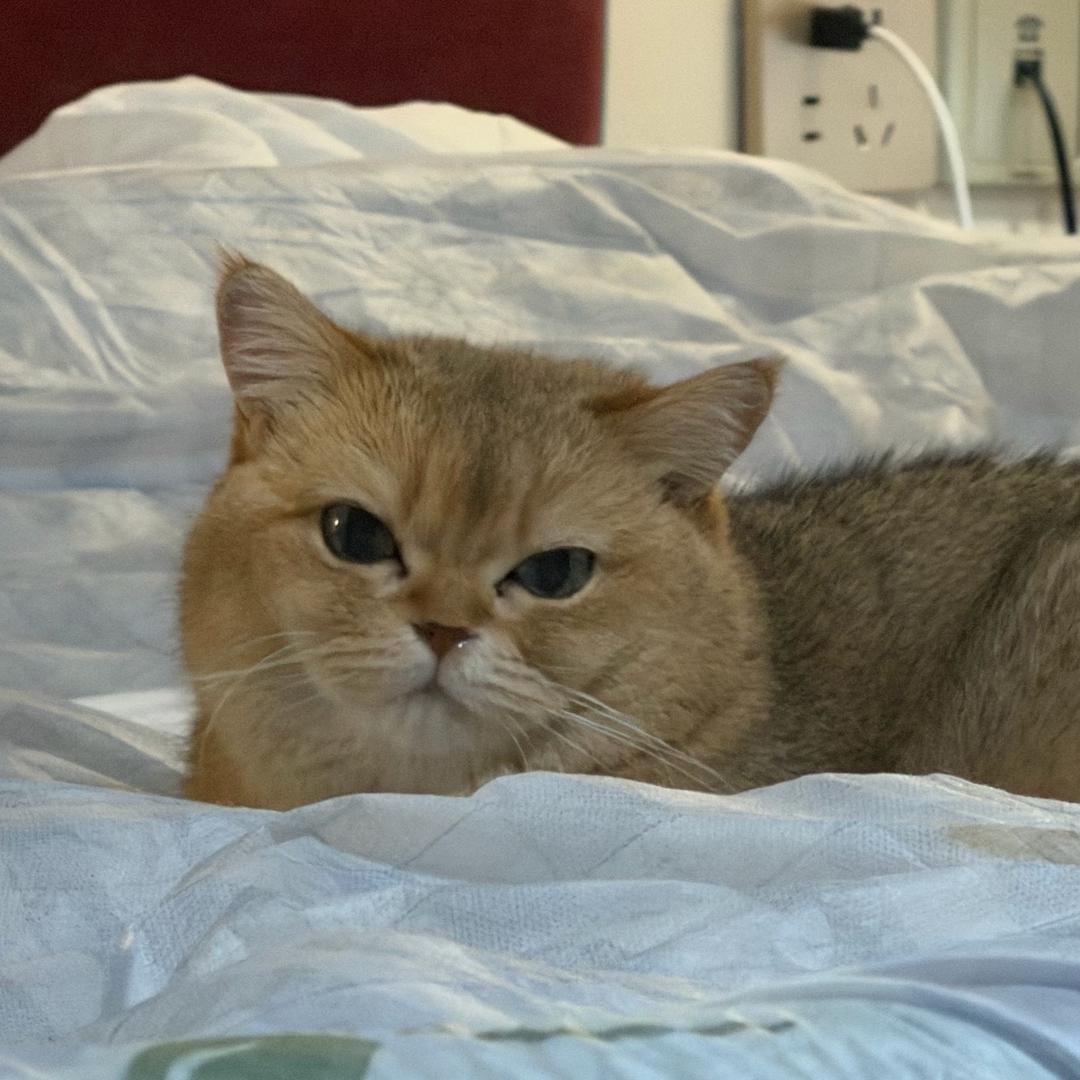 🧃