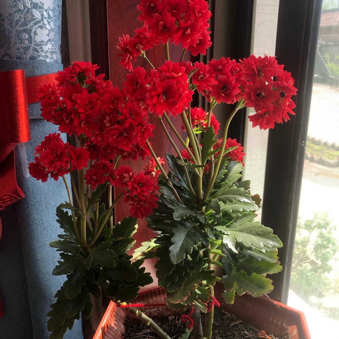 ❤️❤️温馨❤️❤️