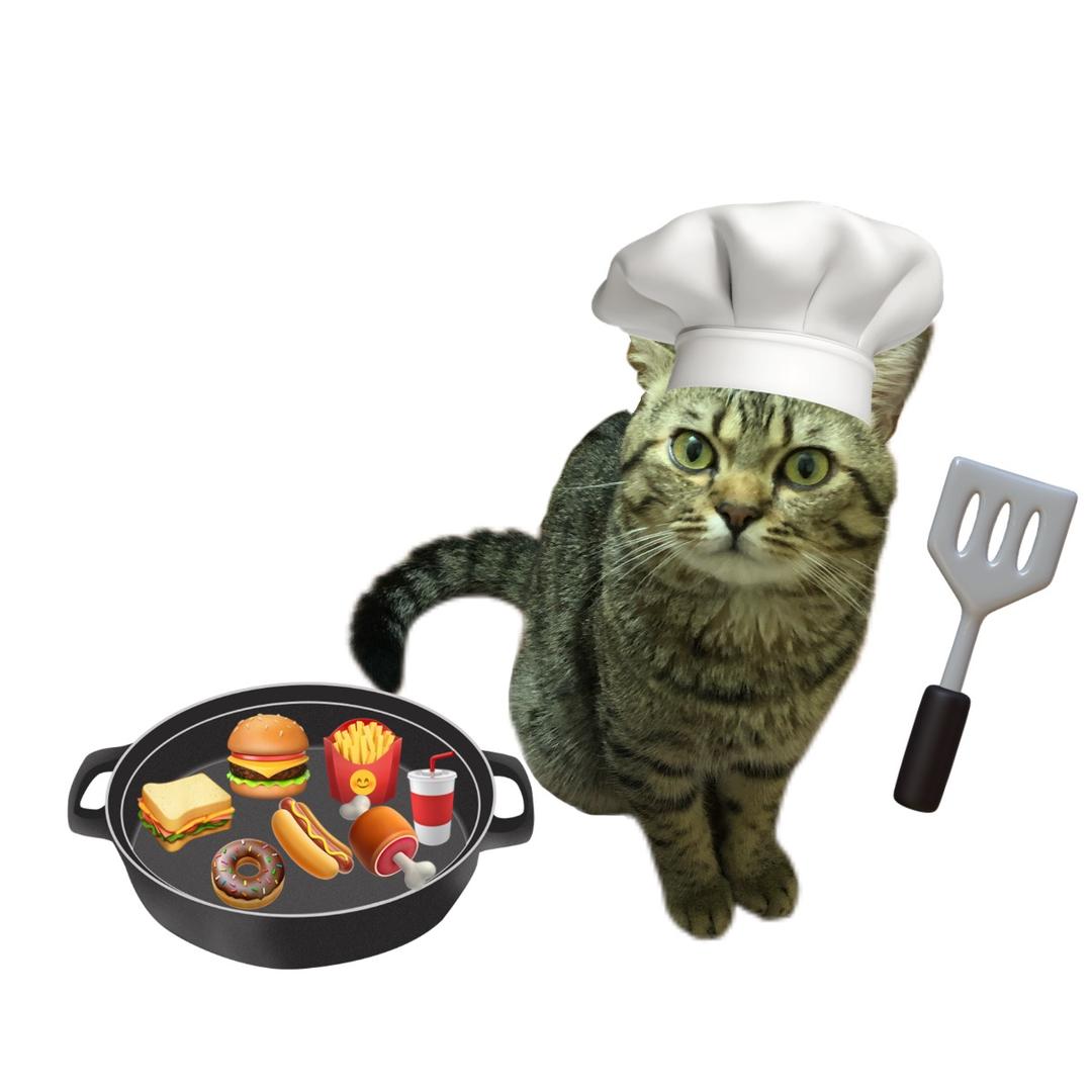gena是只猫