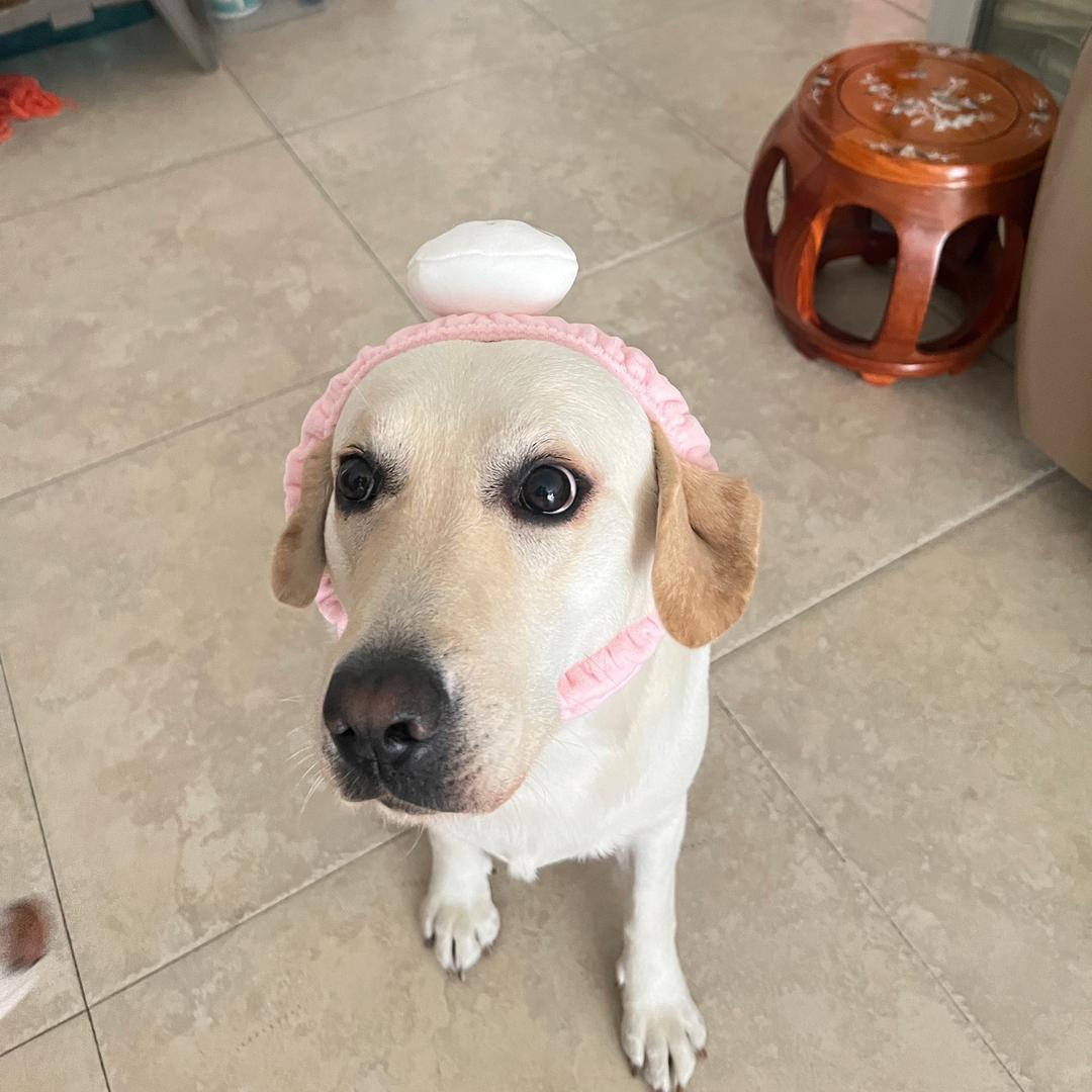 🎶☕️疯狂的周末时光🍭🍬