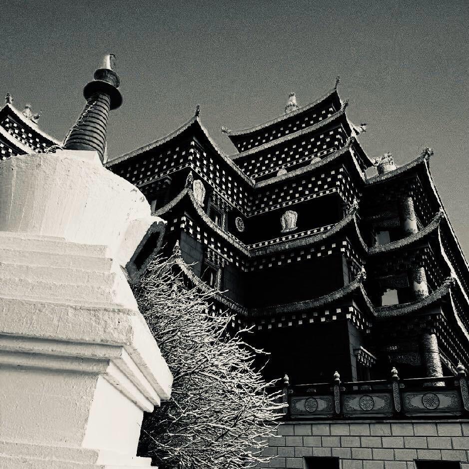 眠🌴