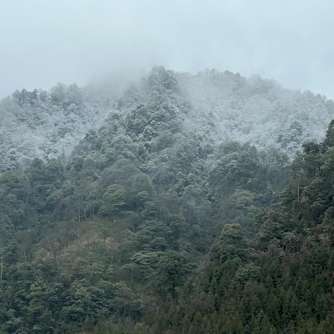 雪姐加油9荣百货店