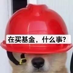 养基安全员梓琪