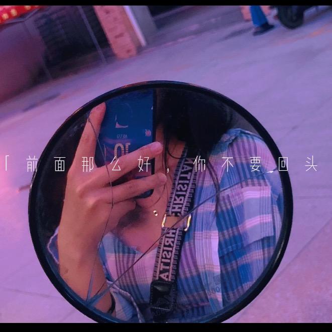 老街深巷的老猫浪够了却没有家